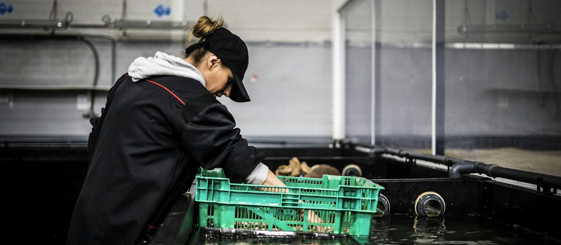 Damaged contents being cleaned in a restoration wash bay